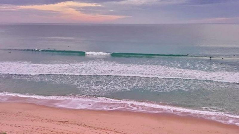 Looking to start surfing or to brush up on your surfing techniques? The full day Learn to Surf Tour will equip you with the necessary skills! 